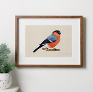 Plakat Gil ilustracja 21x30 dekoracja, ptaki