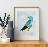 Plakat ptak Kraska ilustracja 21x30 dekoracja