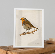Plakat ptak Rudzik ilustracja 21x30 dekoracja