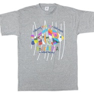 Koszulka Kolorowy Szlak Karpia - szara, XL